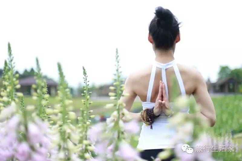 花海中最美的瑜伽,花海中的瑜伽动作
