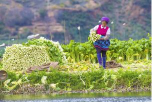 本就是一穷二白，又摊上这样一个赌鬼老公，她该何去何从！