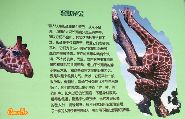 中南百草原景区动物园,中南百草原景区动物