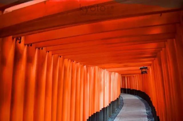 曼莉专栏｜葡萄*妞小**随妈游日本