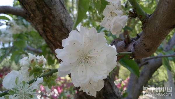 乐视超级手机2处理器,乐视2超强配置全曝光