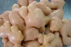 龙州旅游特产,龙州金龙有什么特产