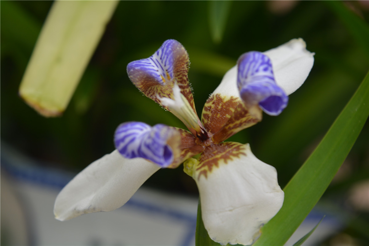 oppor9实测充电5分钟,oppor9充电了吗