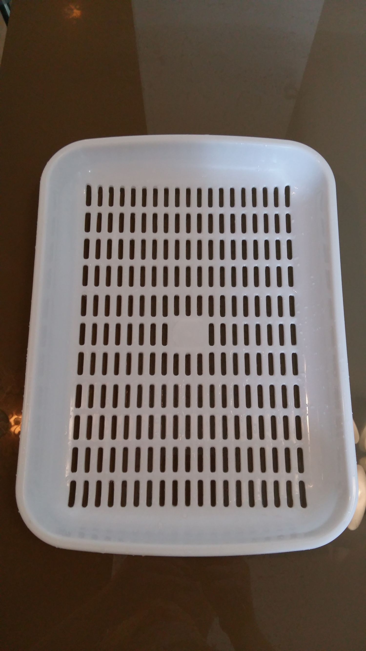 梁熙寿阳台种菜记水培篇之一