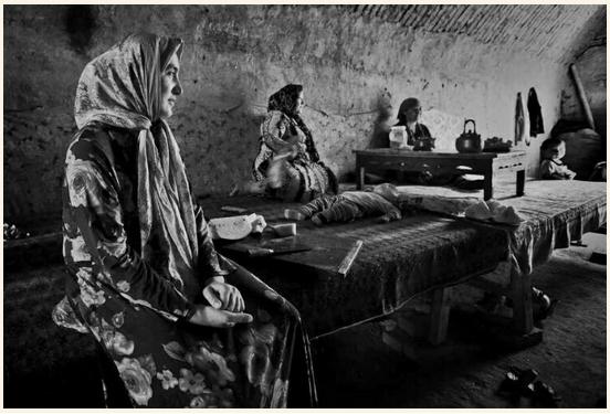 西行奇遇记完整视频,西行奇遇记