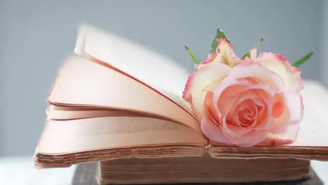 吃货必看美食,吃货必看的十大视频