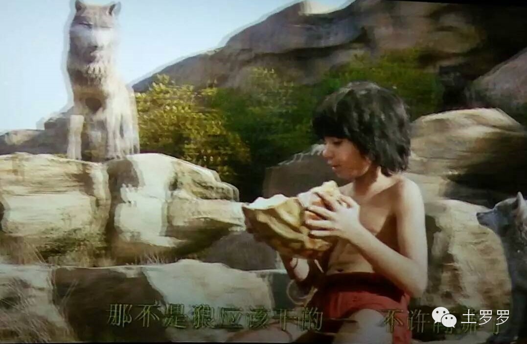 太赞了！一位10岁的小男孩撑起了整部奇幻森林！