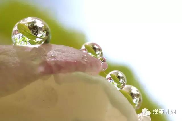 包钢三中真的要改名吗,包钢三中整体成绩怎么样