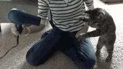 当魔法杖都能变成吹风机，一把菜刀卖一万元又算得了什么呢！