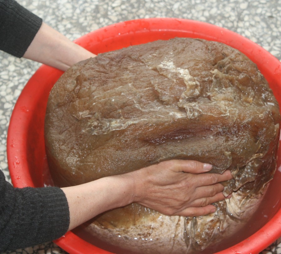 长得最像人脸的太岁,太岁神形象