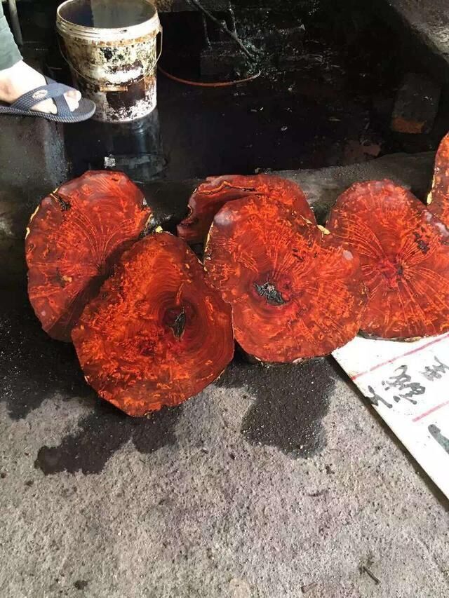 印度小叶紫檀一鸣惊人纯手工 (印度小叶紫檀1.0圆珠 单圈手串19颗)