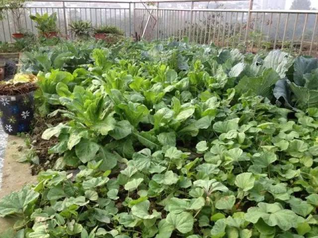 她，用旅行，战胜了癌症。