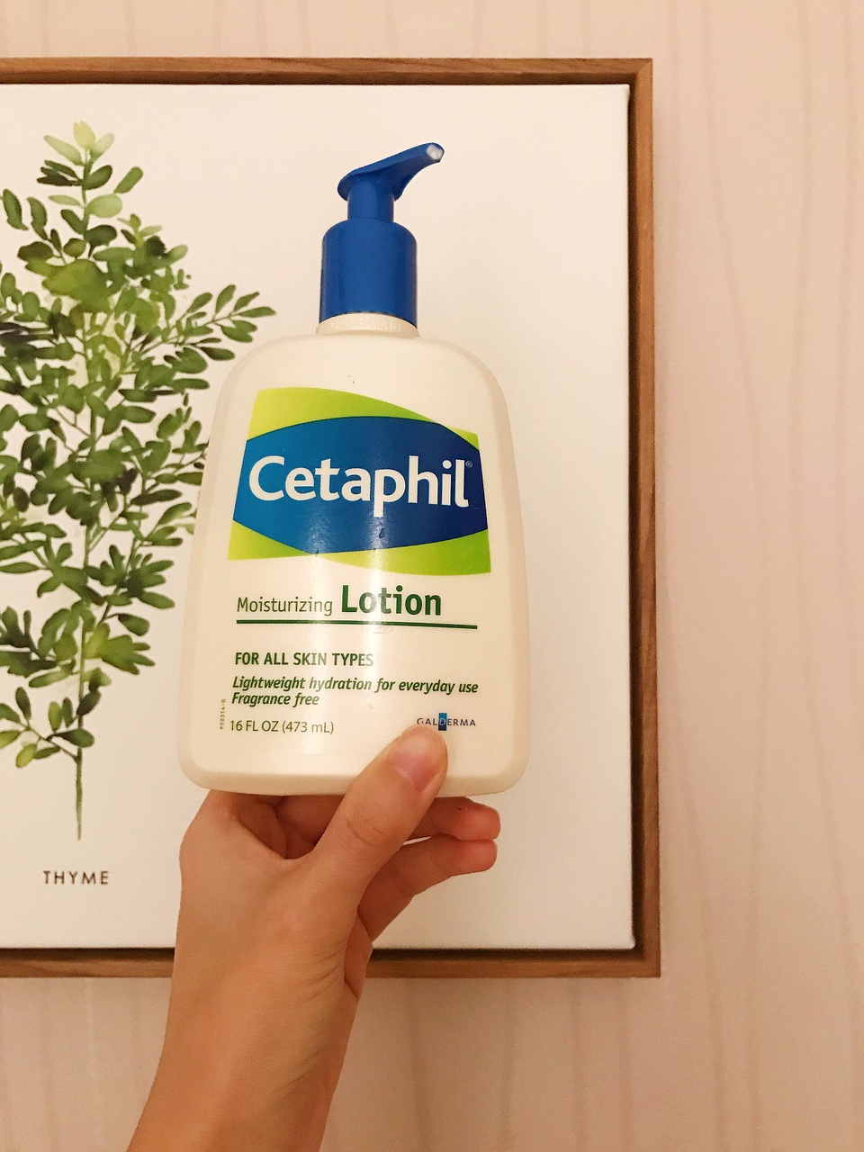 豆瓣日记1,豆瓣日记2019