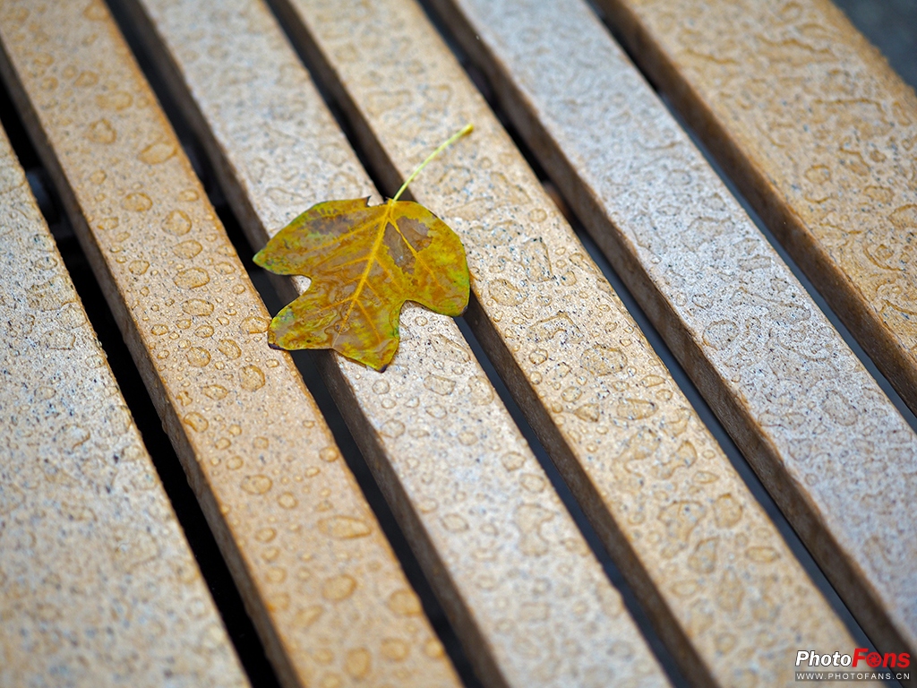 奥林巴斯45mmf1.8评测,奥林巴斯45mmf1.8镜头怎么样