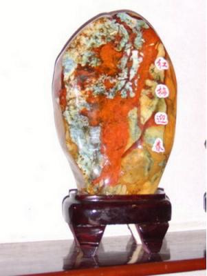 真正的奇石一般在哪里,真正的奇石是怎么样的