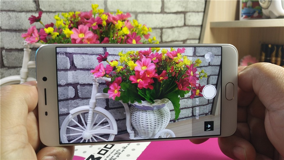 明明可以靠颜值偏偏你要拼实力,明明能靠脸偏偏拼才华