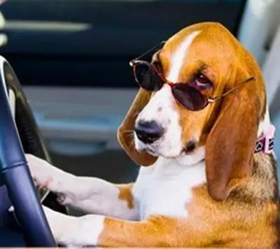 在重庆上下班体验,在重庆上班有多难