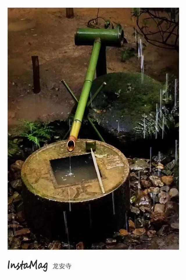 曼莉专栏｜葡萄*妞小**随妈游日本