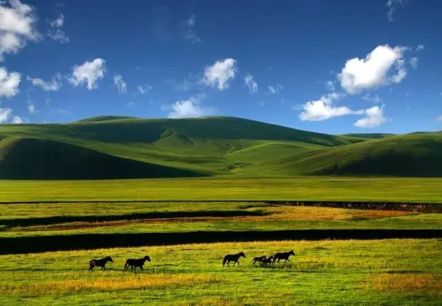 全国名胜风景最多的属于哪个省,中国哪个省是旅游胜地