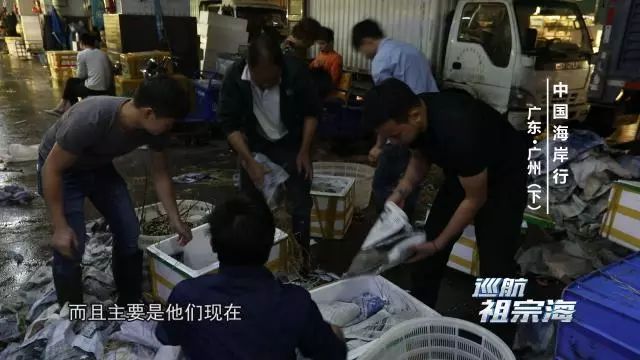 今晚22:40《巡航祖宗海》｜从余荫山房一窗观四季之景走广州小巷品地道爽鱼皮