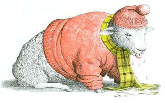 给孩子读绘本需要提问吗,老约翰绘本适合多大孩子看