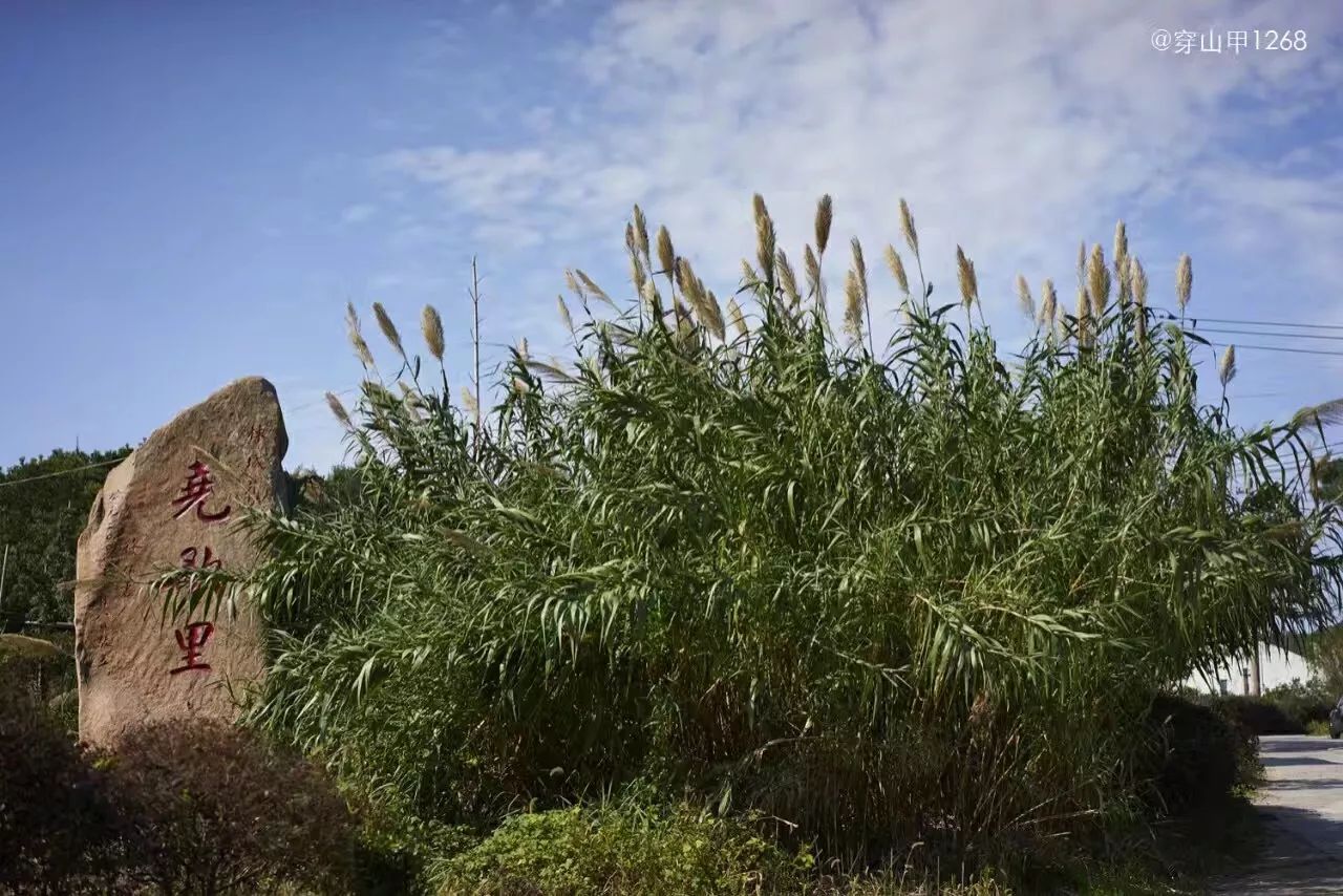 无锡千年古村尧歌里火了,无锡古村尧歌里在哪里