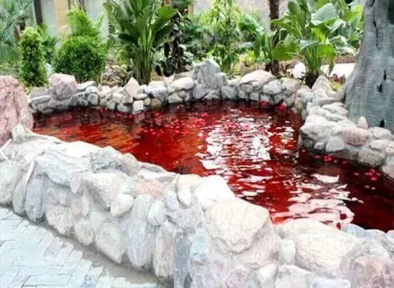 元旦假期就去这里玩,假期马上开始嗨起来