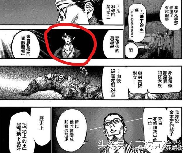 东京食尸鬼ccg和喰种实力划分,东京吃货第四季喰种和ccg合作