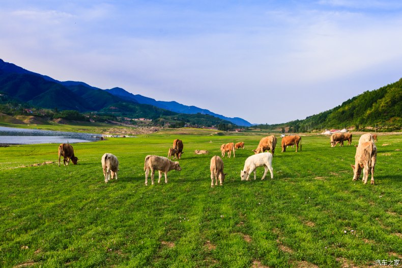 家乡之美美篇,家乡之美原唱完整版