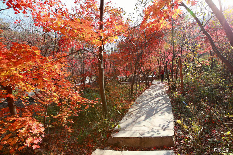 家乡之美美篇,家乡之美原唱完整版