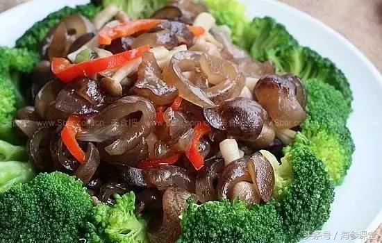 几款海参的家常做法，在家也能轻松吃到美味！