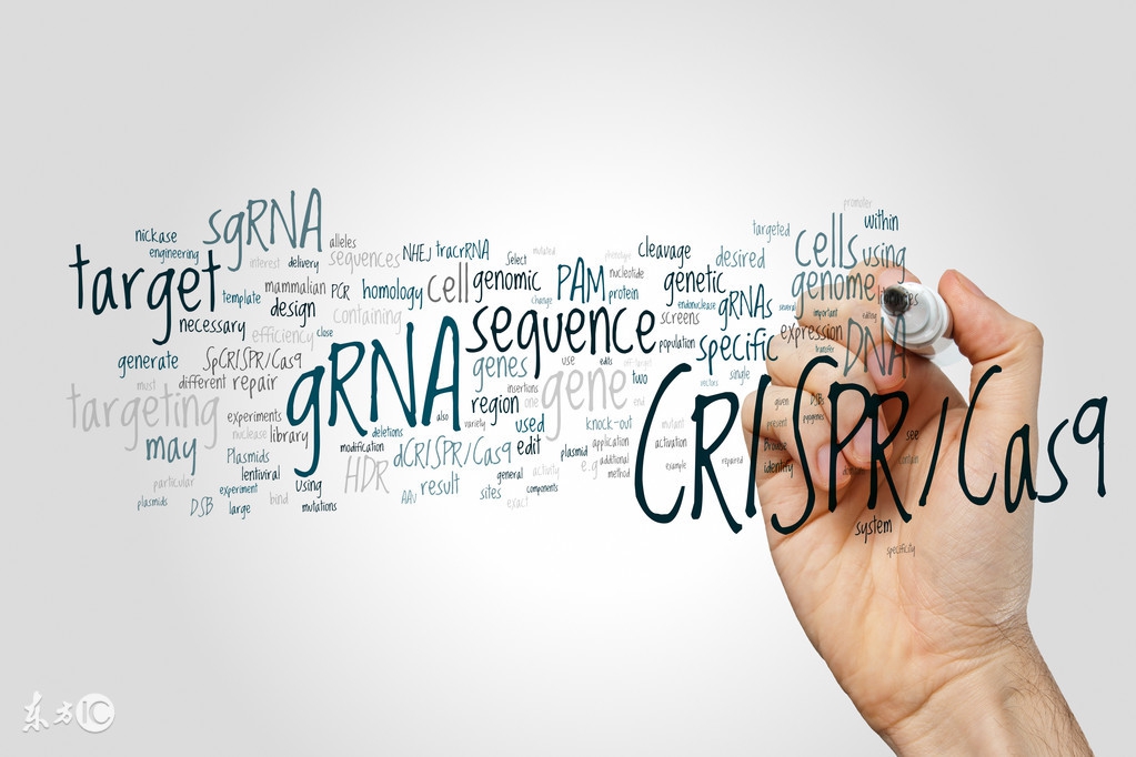 工控安全案例-毒区（Duqu）病毒的出现