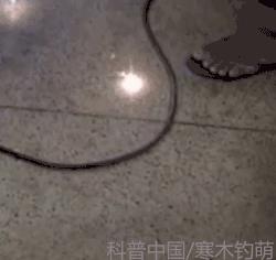 球状闪电特点有哪些,球状闪电理论