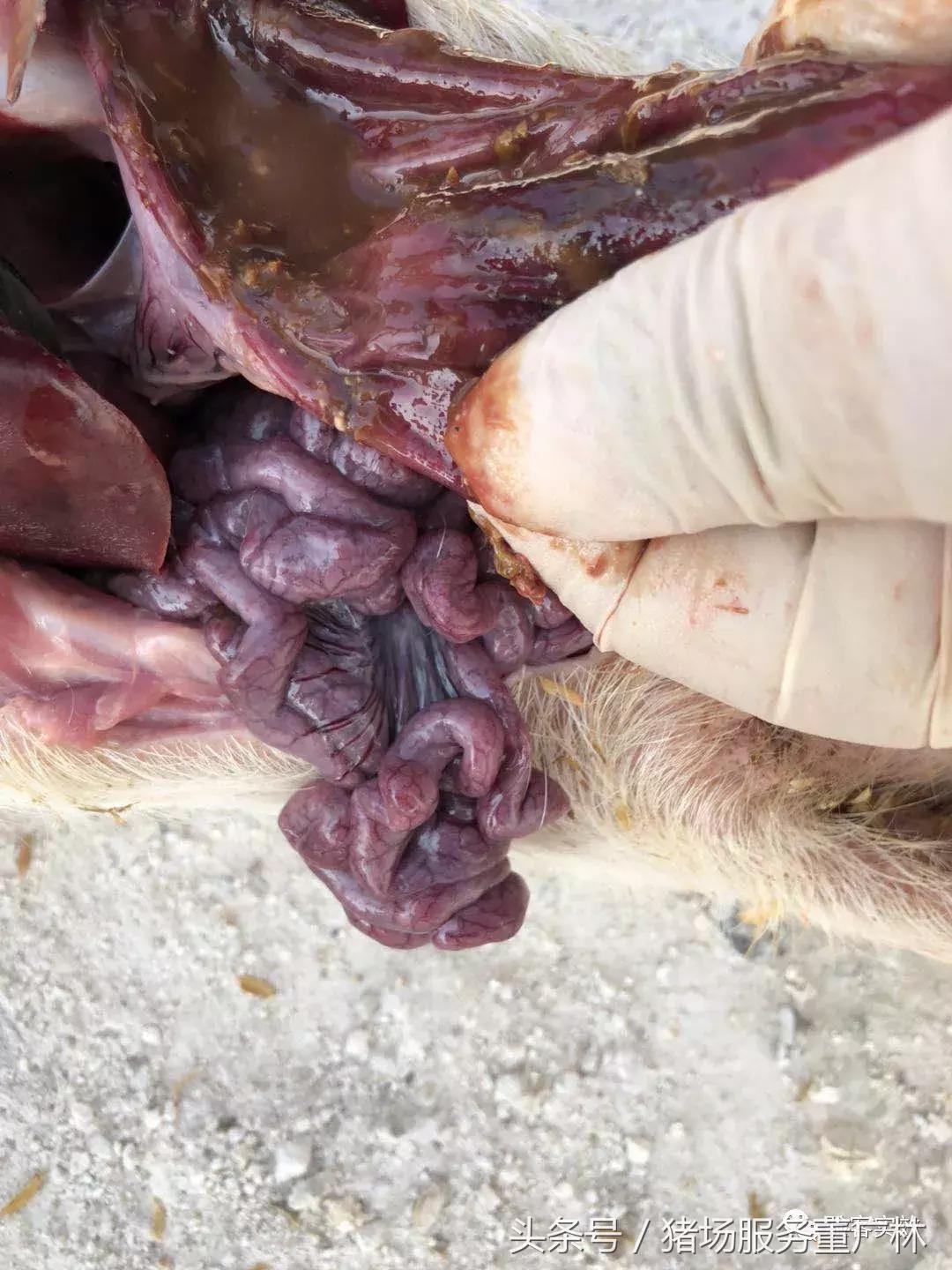 董广林最近消息,董广林最新消息