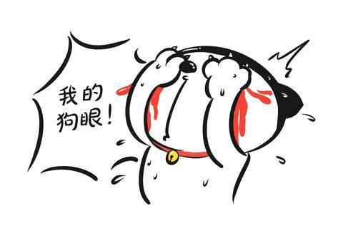 500亿钱宝网暴雷!宝粉们不信,还哭求继续加仓;员工还继续发微博