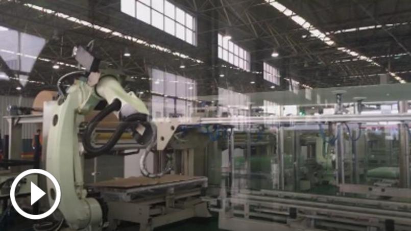 市委十三届五次全会即将召开，李小敏书记带队到重大项目现场观摩