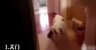 英斗劝退指南,英斗尴尬期和爆头期