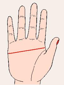 断手相示意图讲解,手相分析精讲