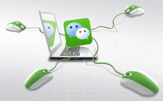 新手玩一个月就成大神的教程,小白也能成大神