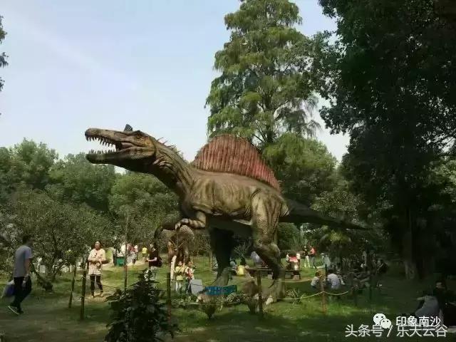 元旦南沙去哪里玩,南沙黄山鲁森林公园游玩攻略