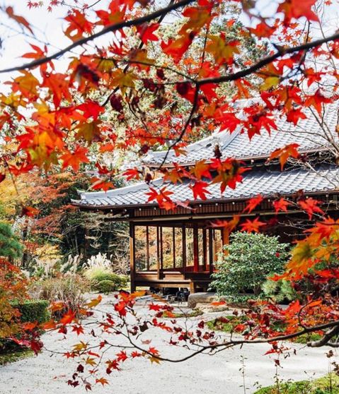 杨树林深唇镜面大牌口红测评,杨树林口红必买色号黄皮推荐