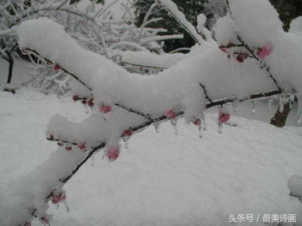 王维诗词平淡至极,王维最平淡的四句诗