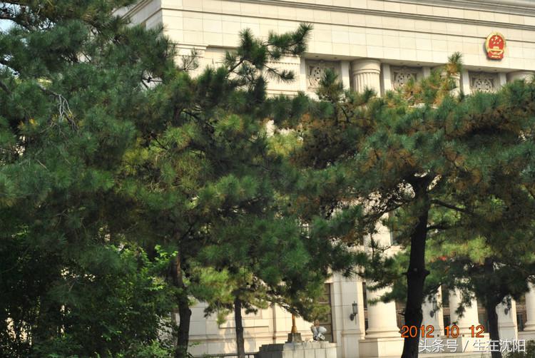 东北大学旧址参观路线图,东北大学旧址汉卿体育场