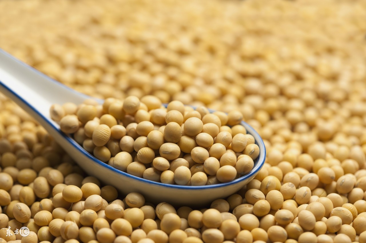 九个月宝宝的食谱,九个月宝宝营养食谱窍门