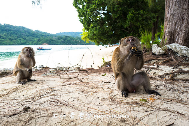 旅行日志天之涯海之角,旅行日志每日感受