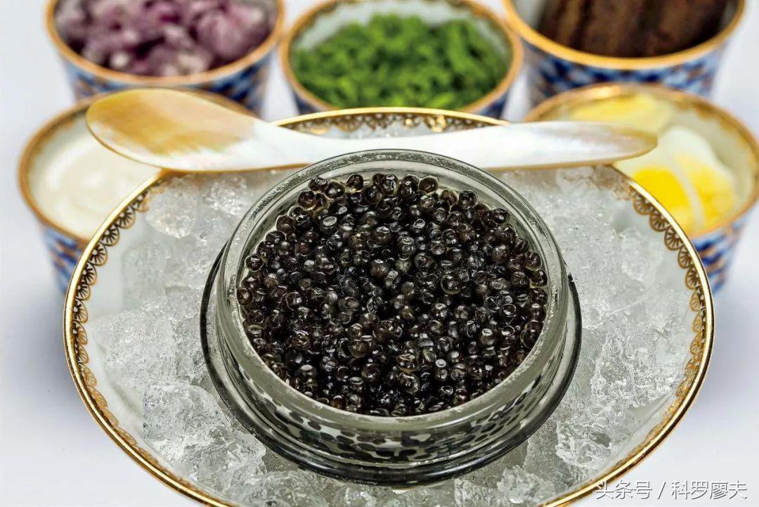 鱼子酱25万一小勺,最顶级鱼子酱是哪个国家生产的