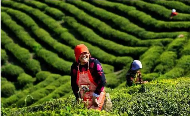 留在高淳还是去南京,在南京一定要去高淳吗