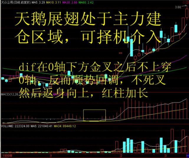 史上最强macd炒股口诀,macd炒股绝密技巧