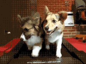 跑步岔气了怎么快速缓解知乎,跑步岔气怎么快速缓解