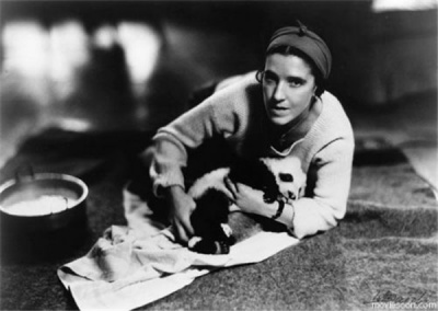 熊猫为什么生活了数万年,熊猫为什么可以存活至今